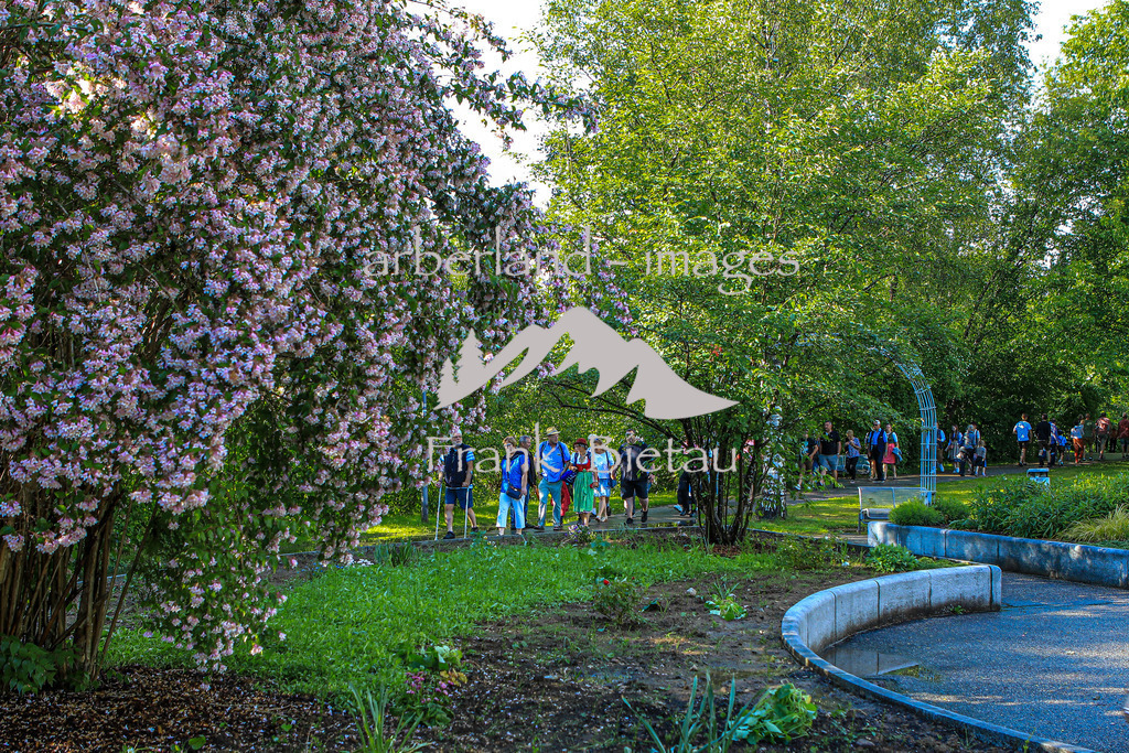 OE7A3717 | tausende Besucher sind in der Stadt Regen unterwegs