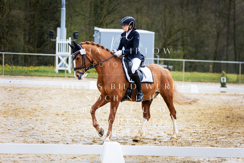 IMGT4057 | pl-fotografie