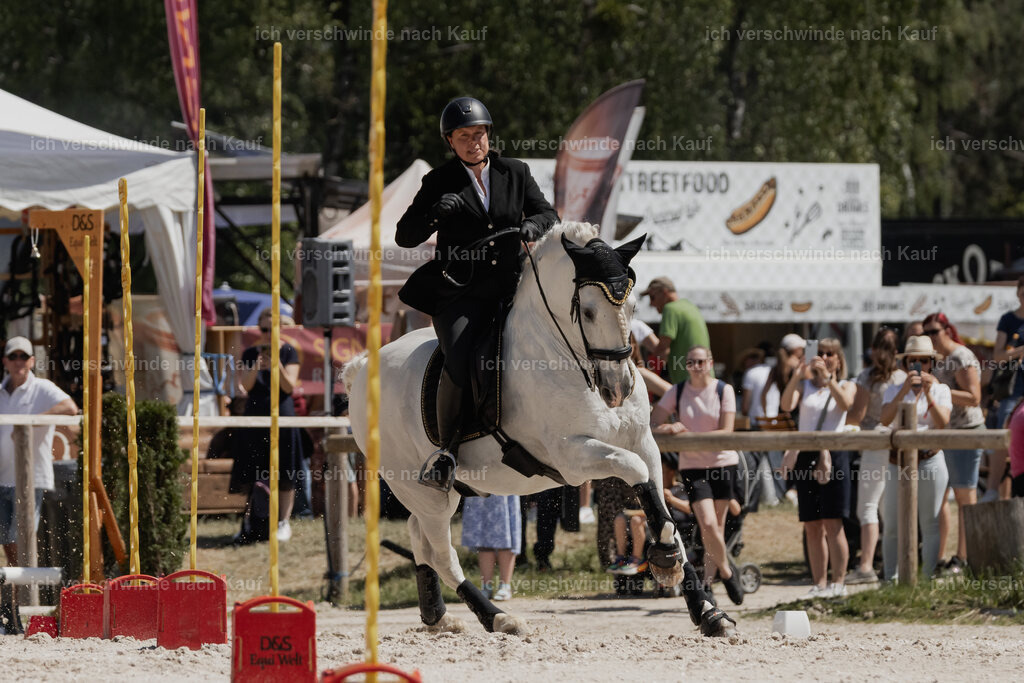 WE_SP_Stoib_307_PI2025_1759 | Pferd International München 2025