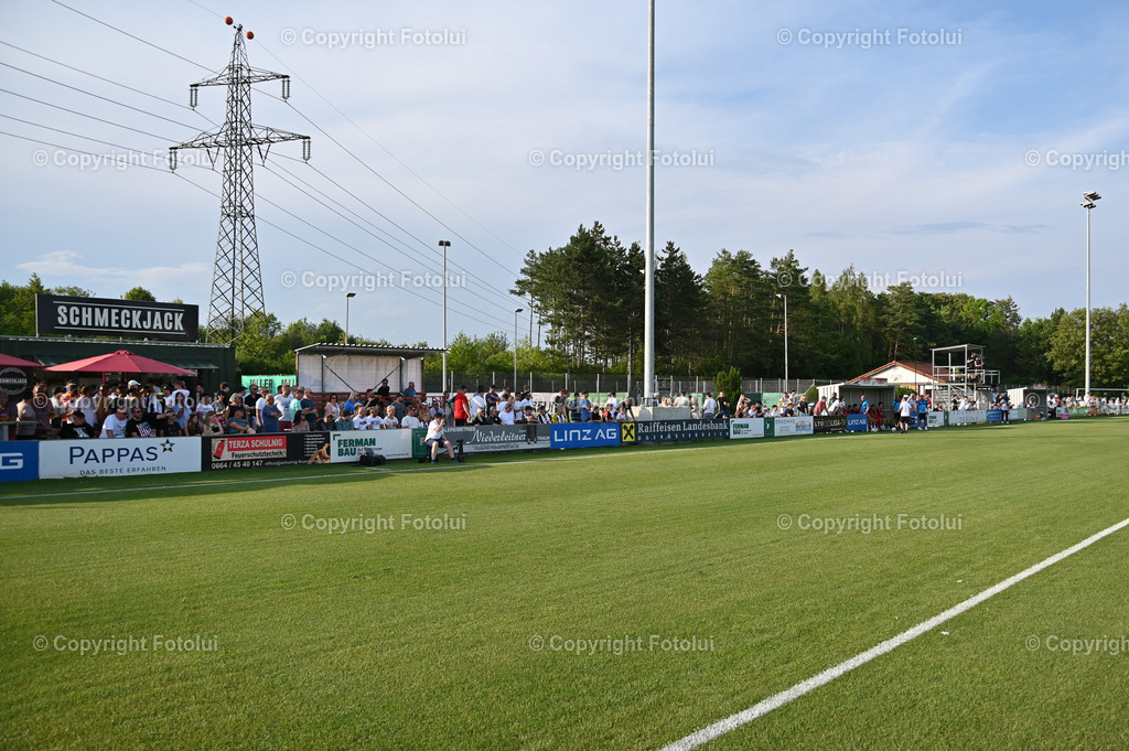 DSC_9964 | bilder, linz, photo, foto, fussball, sport, fotolui, bundesliga