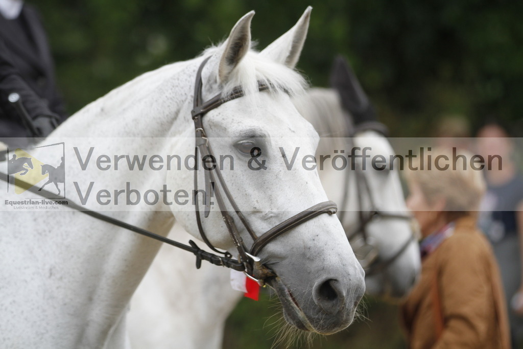 _MG_8382 | equestrian-live-com