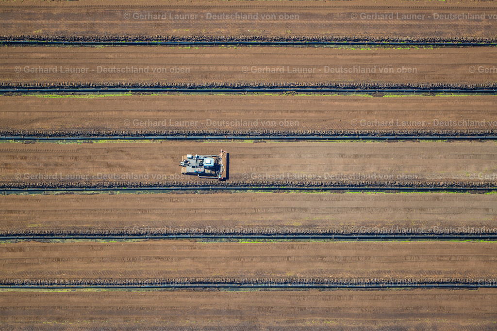 3620838 | Diepholzer Moor