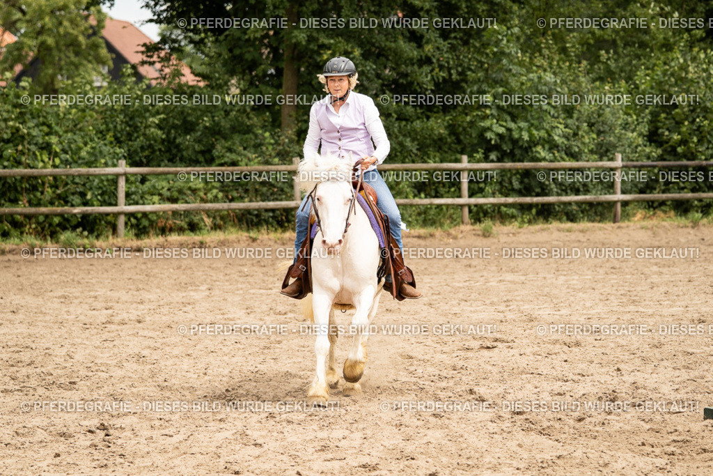 DSC00977 | Pferdegrafie