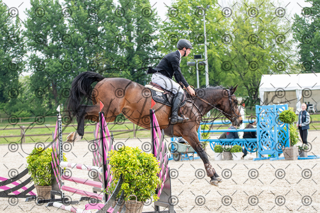 KPT_2276 | andre_photographic