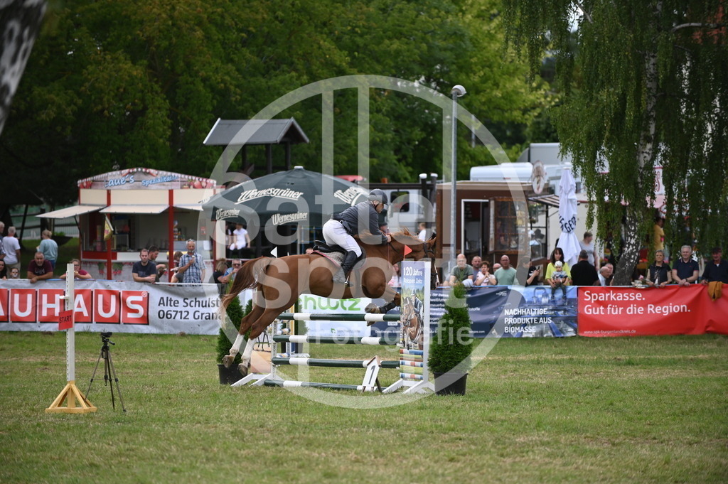 DSC_7170 | sattelsport - Realisiert mit Pictrs.com