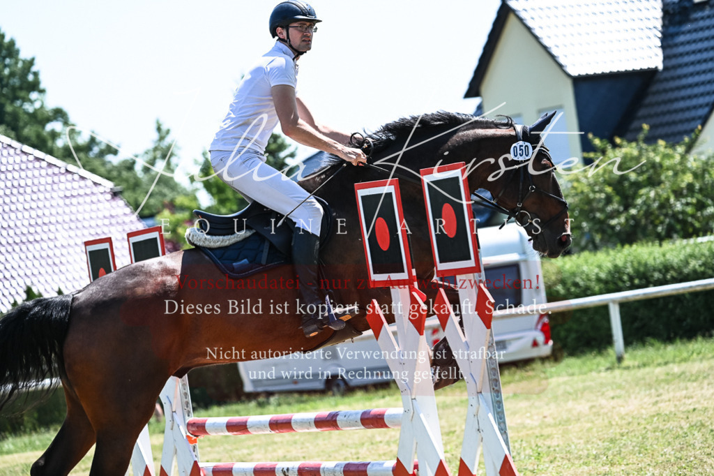 DSC_0462 | Pferde- und Turnierfotografie in Westsachsen. Pferdeportraits, Auftragszeichnungen und intuitive Kunst.
