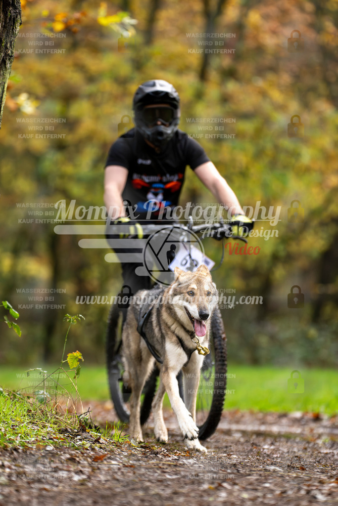 MompixPhotography_Bischwiller23_Bike-49 | PayLife