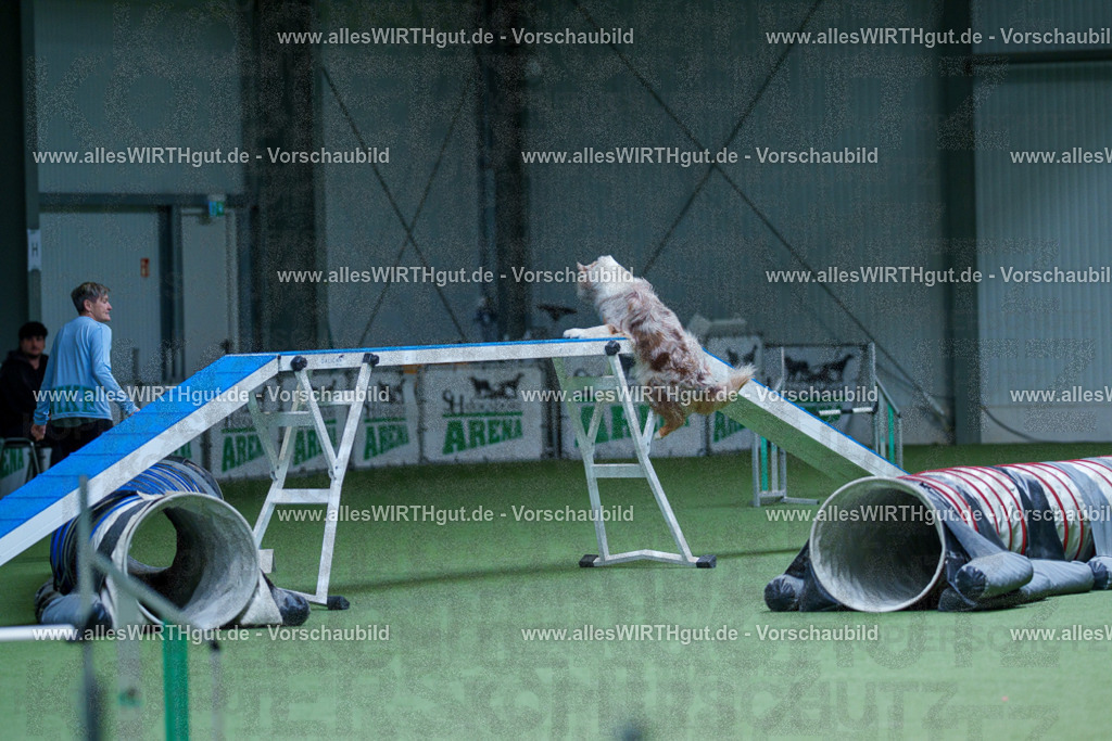 @allesWIRTHgut_Tierfotografie - www.allesWIRTHgut.de - 2604251217-7R501294 | Professionelle Tierfotografie in Mönchengladbach von Daniel Wirth (allesWIRTHgut). Liebevolle & natürliche Bilder von Hunden & Katzen für unvergessliche Erinnerungen.