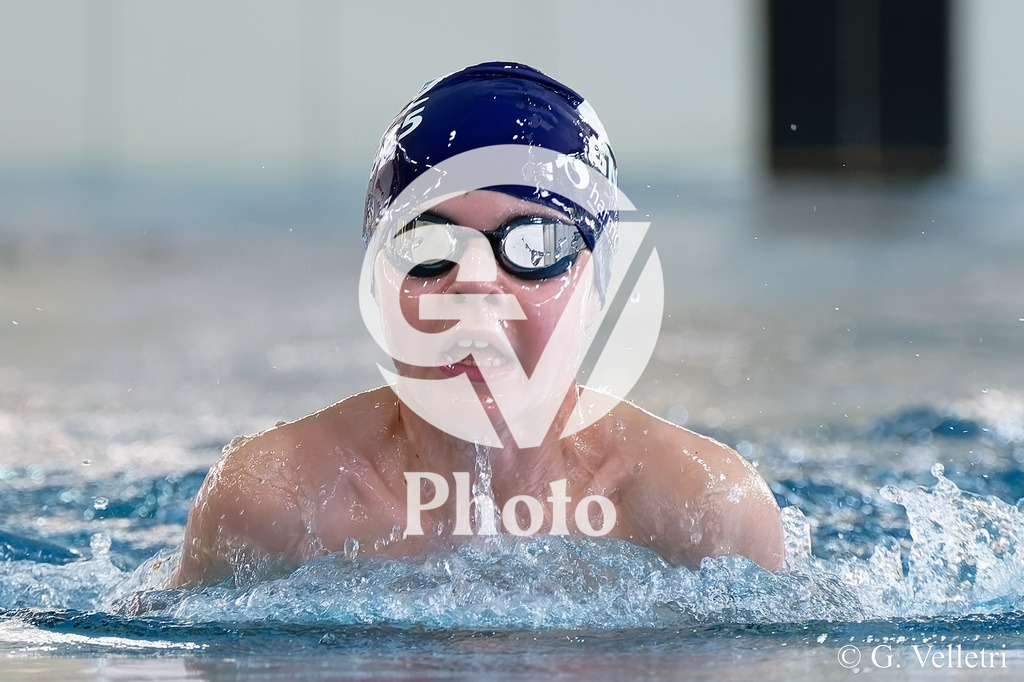 DSC_4778 | Velletri Photo