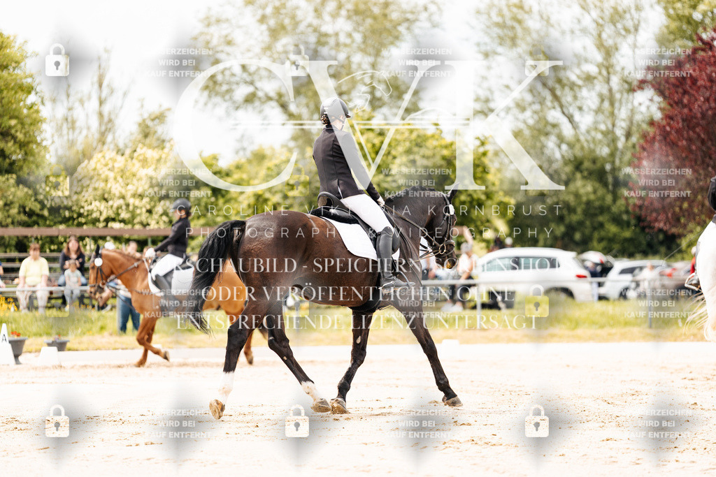 CK902682 | Turnierfotografie Pferdefotografie Trier Rheinland-Pfalz Pferdesport Reitsport Tierfotografie Sportfotografie Pferdevideo Pferdevideografie Equestrianvideography equestrianphotography  - Realisiert mit Pictrs.com