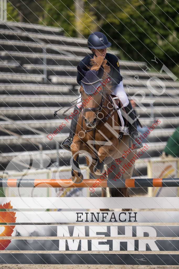 IMG_4703 | Sport-, Event- und Tierfotos in Profiqualität. Einfach auswählen, bestellen und herunterladen. Dein Moment – perfekt festgehalten.