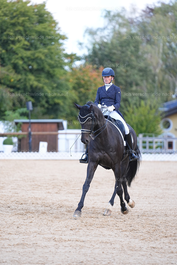 09_1-115-DRESSUR  S_  -Marixx-5675 | working equitationturnier fotograf videograf stoibphotography marixx film working equitation deutschland reitsport turnierfotografie eventfotografie equestrian events