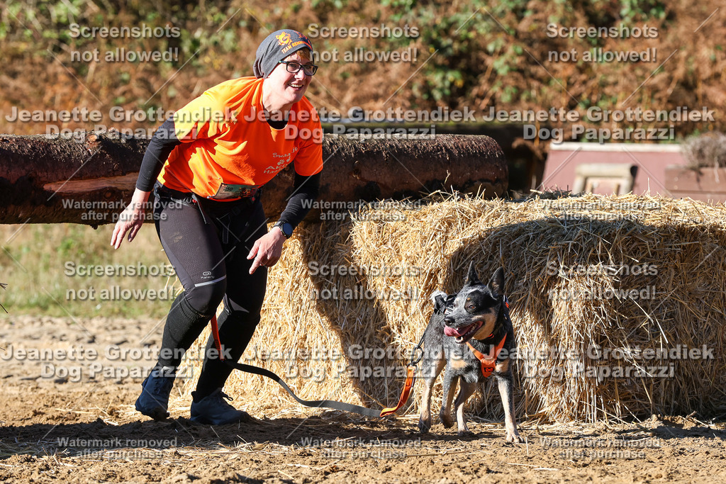 Dog Paparazzi - Strongdog 10-25-1804 | Dog Paparazzi Jeanette Grottendiek Fotografie & Videografie - Realisiert mit Pictrs.com