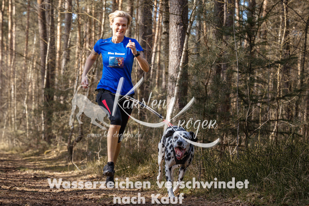 1331_ZZ94625 | kk-dogfotos
