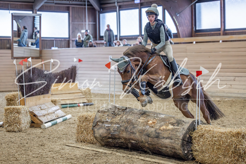 20260221-_3LI9632 | Tierfotografie Pferde, Hunde, Katzen, Haustiere.
Turnierfotografie Reitturniere, Reiten, Springreiten, Dressur in Hanau, dem Main-Kinzig-Kreis und dem Rhein-Main- Gebiet um Frankfurt