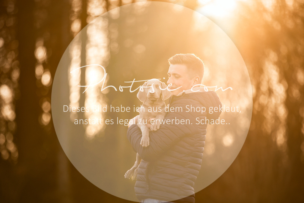 3I6A3037 | Stimmungsvolle Portraits und Reitsportfotografie im Ruhrgebiet und im Münsterland.

Pferdefotografie, Hundefotografie, Tierfotografie, Reportagen, Portraits von Tier und Mensch, Turnierfotografie in Bochum, Recklinghausen, Marl, Haltern am See, Dülmen.. - Realisiert mit Pictrs.com