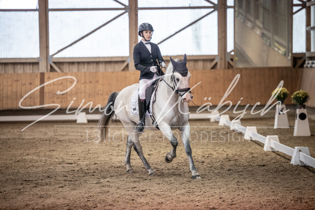 20251011-_3LI1968 | Tierfotografie Pferde, Hunde, Katzen, Haustiere.
Turnierfotografie Reitturniere, Reiten, Springreiten, Dressur in Hanau, dem Main-Kinzig-Kreis und dem Rhein-Main- Gebiet um Frankfurt