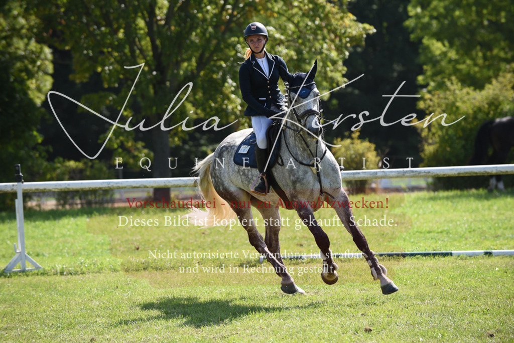 DSC_9127 | Pferde- und Turnierfotografie in Westsachsen. Pferdeportraits, Auftragszeichnungen und intuitive Kunst.