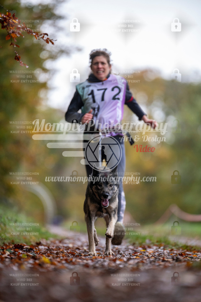 DBT_DAKM_SA_4_11_2023_Canicross-122 | PayLife