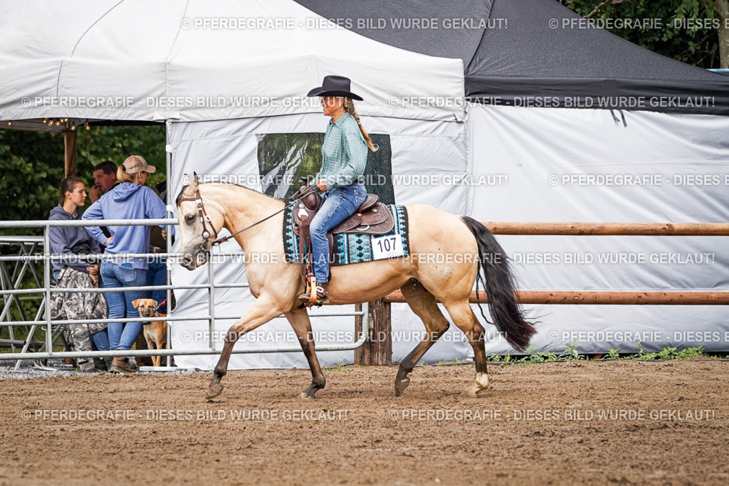 DSC06270 | Pferdegrafie