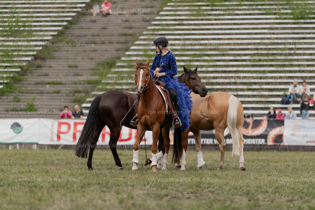 Showprogramm-453 | working equitationturnier fotograf videograf stoibphotography marixx film working equitation deutschland reitsport turnierfotografie eventfotografie equestrian events