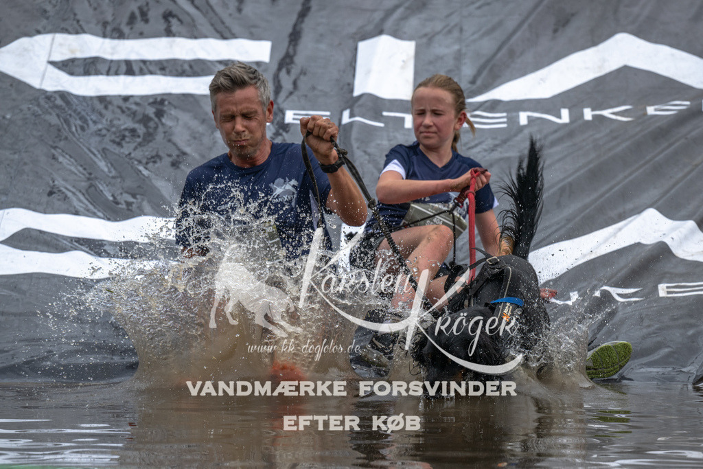 1519_ZZ92573 | kk-dogfotos