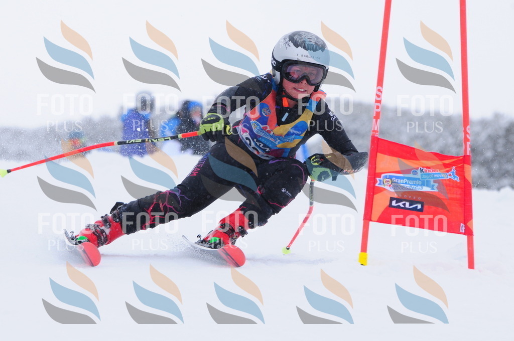 C4143 | holidayphoto