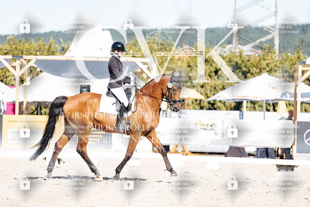 CK908168 | Turnierfotografie Pferdefotografie Trier Rheinland-Pfalz Pferdesport Reitsport Tierfotografie Sportfotografie Pferdevideo Pferdevideografie Equestrianvideography equestrianphotography  - Realisiert mit Pictrs.com