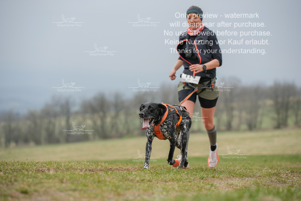 Canixlong-47 | stephaniefillaphotographie - Realisiert mit Pictrs.com