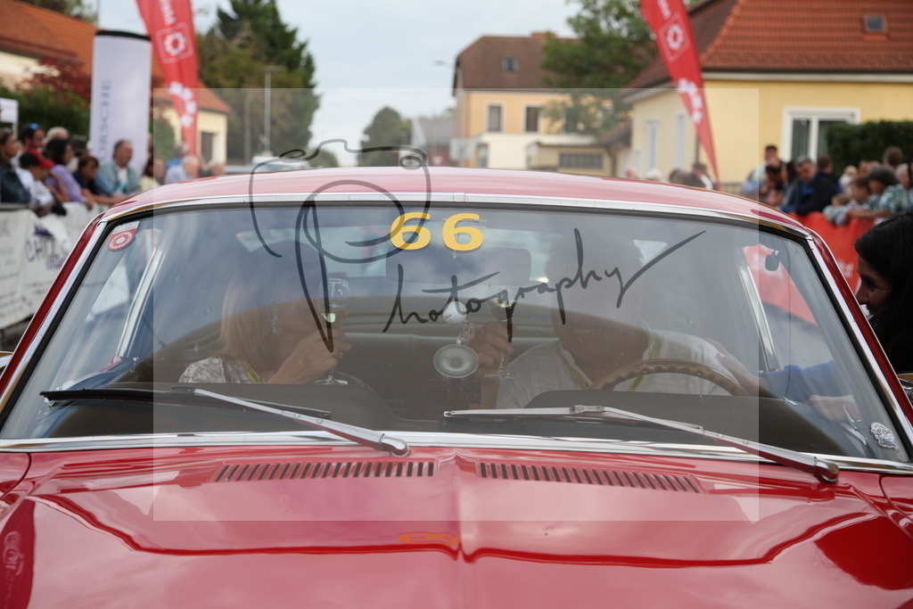 IMG_6427 | Gerhard Witt