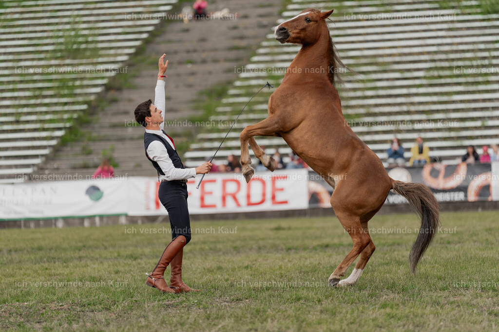 Showprogramm-425 | working equitationturnier fotograf videograf stoibphotography marixx film working equitation deutschland reitsport turnierfotografie eventfotografie equestrian events