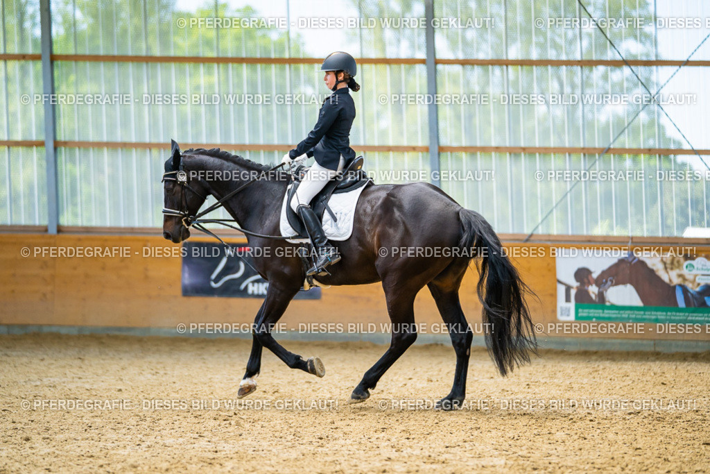 DSC09513 | Pferdegrafie