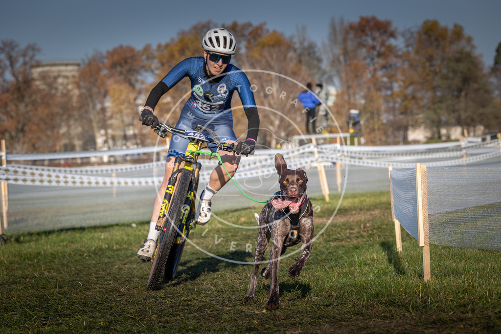 CaniXpix_0L8A4416 | Hundefotografie, Tierfotograf, Pfotenfotografie, Fotoshooting Hund, Hunde Portrait, Hundesport, Hundeportraits, Heideshooting, Hunde, Sportfotograf, Hundefotograf, Turnierhundsport, THS,  - Realisiert mit Pictrs.com