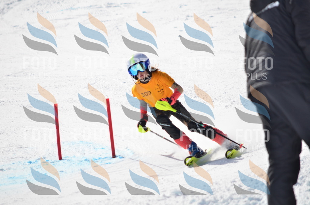 C9510 | holidayphoto