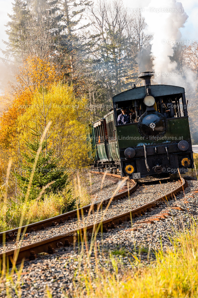 Mariazell Goldener Herbst 23102021-0499 | Fotos und Fotoprodukte - Realisiert mit Pictrs.com