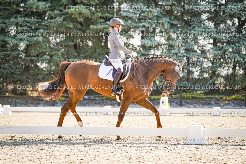 DSC09849 | Pferdegrafie