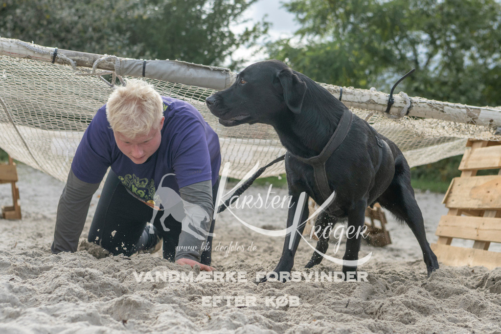 1144_ZZ98929 | kk-dogfotos