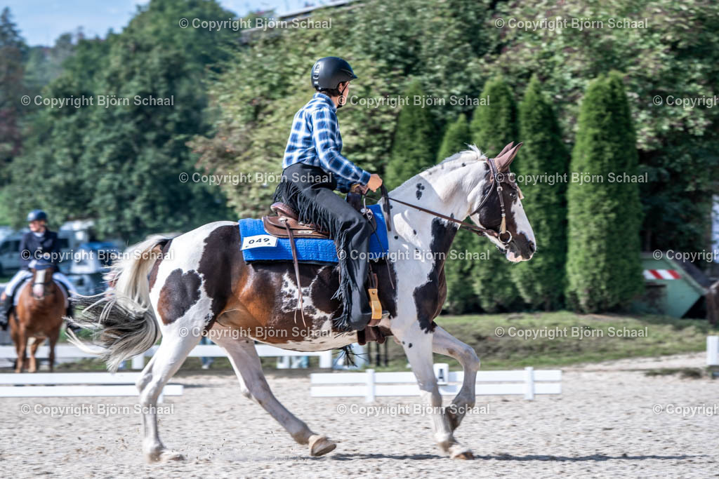 HOB08491 | BS-foto