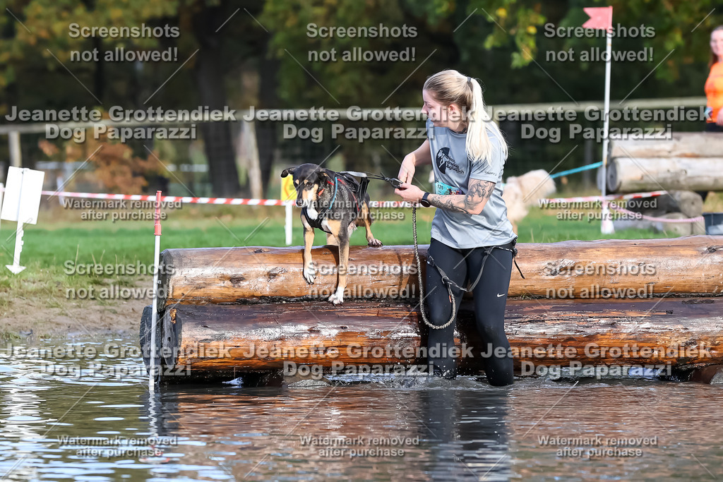 Dog Paparazzi - Strongdog 10-25-7020 | Dog Paparazzi Jeanette Grottendiek Fotografie & Videografie - Realisiert mit Pictrs.com