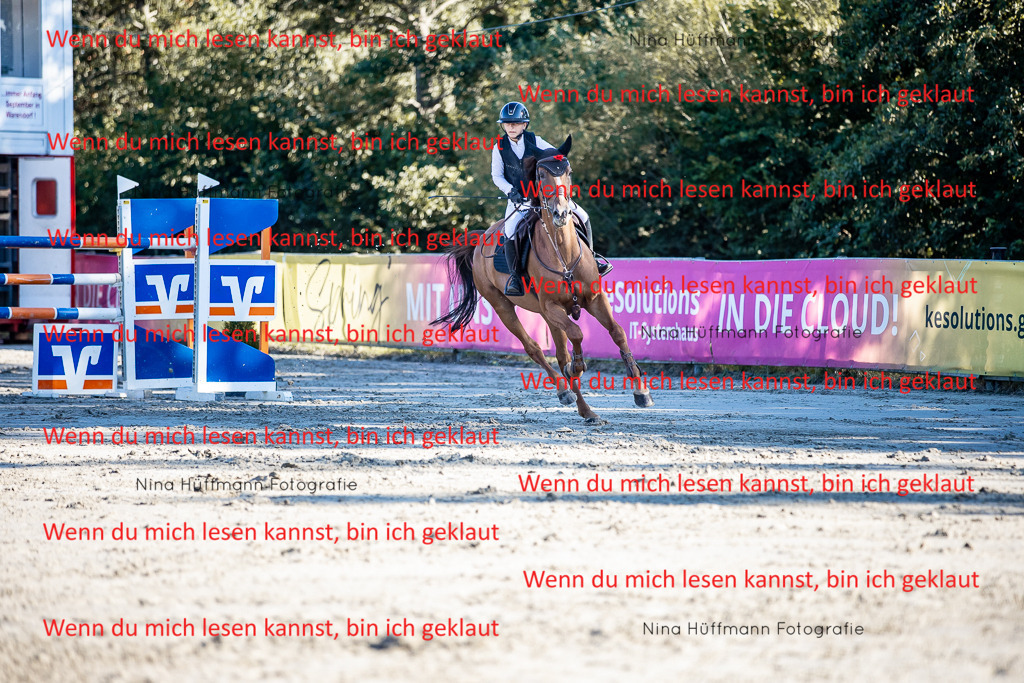 BK1A8216 | Turnierbilder Turnierfotos Nina Hüffmann Turnierfotografie Pferdefotografie Tierzeichnung Haustierzeichnung Pferdezeichnung Hundezeichnung Videograf  - Realisiert mit Pictrs.com