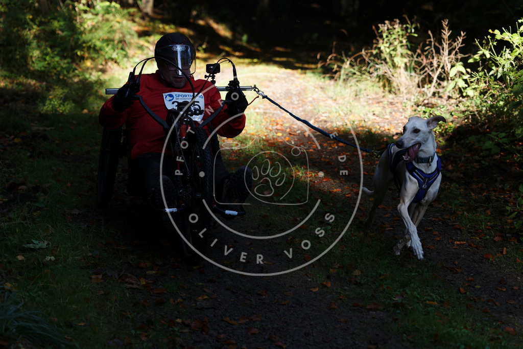 0L8A2288 | Hundefotografie, Tierfotograf, Pfotenfotografie, Fotoshooting Hund, Hunde Portrait, Hundesport, Hundeportraits, Heideshooting, Hunde, Sportfotograf, Hundefotograf, Turnierhundsport, THS,  - Realisiert mit Pictrs.com