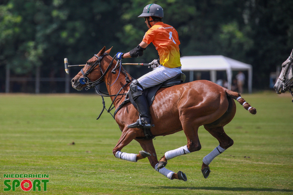 Polo_Willich_070623_033 | Bildergalerie von Sport-Ereignissen aber auch von weiteren spannenden Dingen - nicht nur vom Niederrhein. In Anlehnung an den bekannten Spruch von Hanns Dieter Hüsch heißt das Motto: "Niederrhein ist überall".  - Realisiert mit Pictrs.com