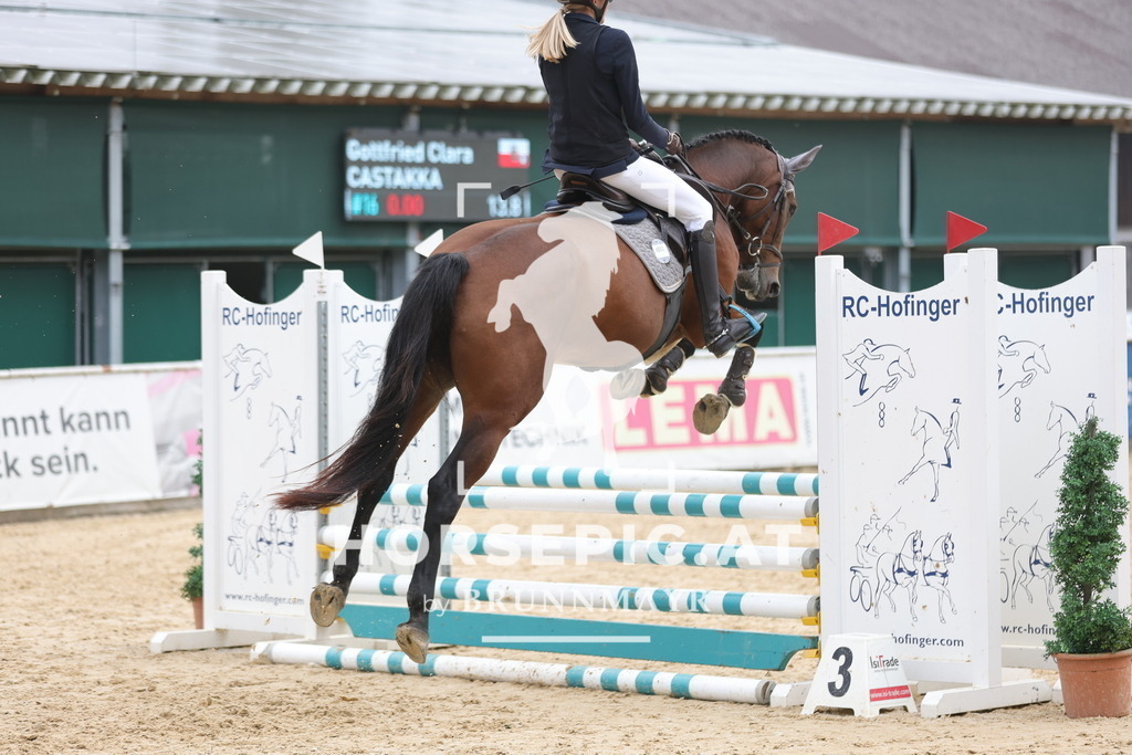 0P6A1232 | Willkommen bei Brunnmayr - Design & Fotografie – Ihrem Spezialisten für Reitturniere und Pferdeveranstaltungen in Oberösterreich, Salzburg und Bayern! Seit über 17 Jahren sind wir leidenschaftlich dabei.