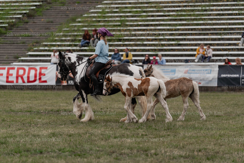 Showprogramm-409 | working equitationturnier fotograf videograf stoibphotography marixx film working equitation deutschland reitsport turnierfotografie eventfotografie equestrian events