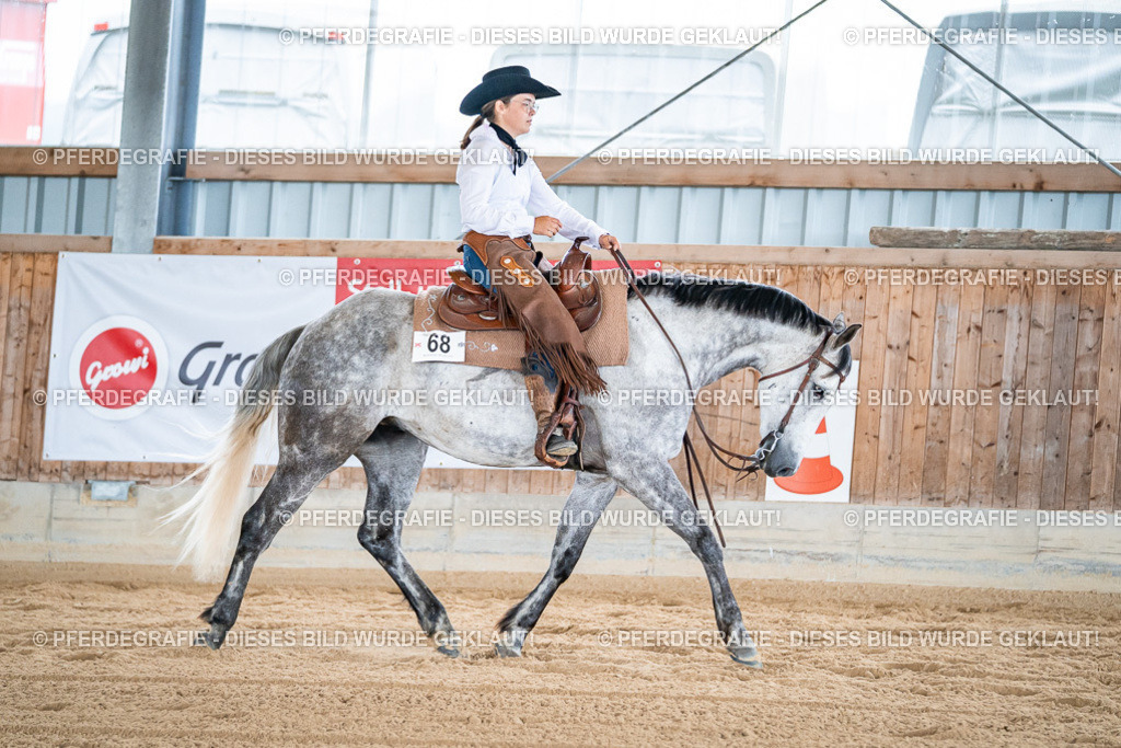 DSC08689 | Pferdegrafie