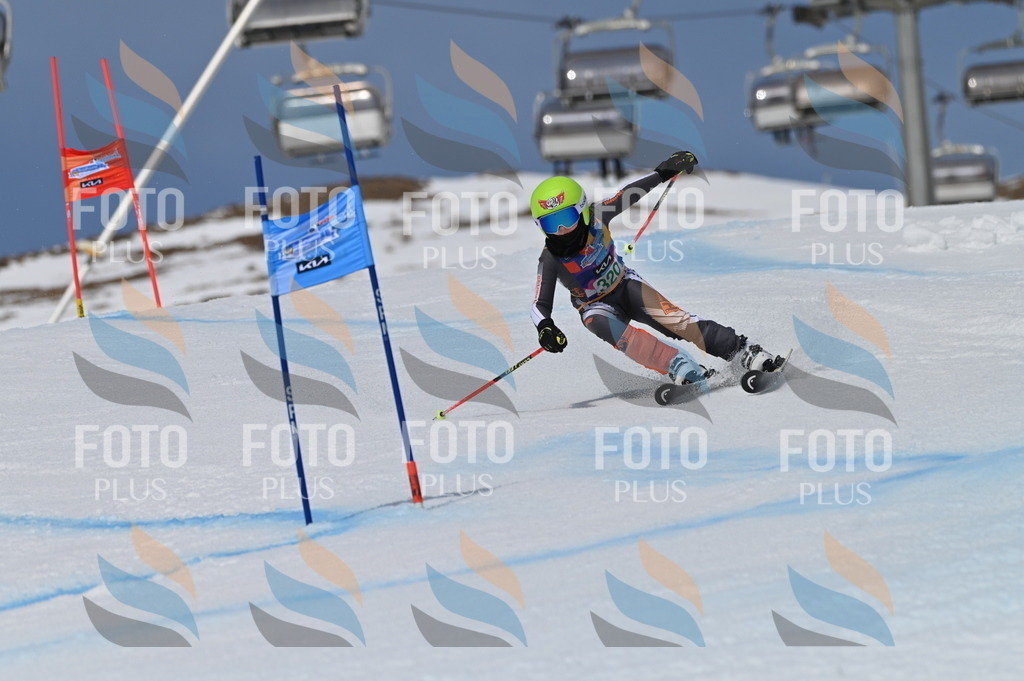 BGV_6324 | holidayphoto