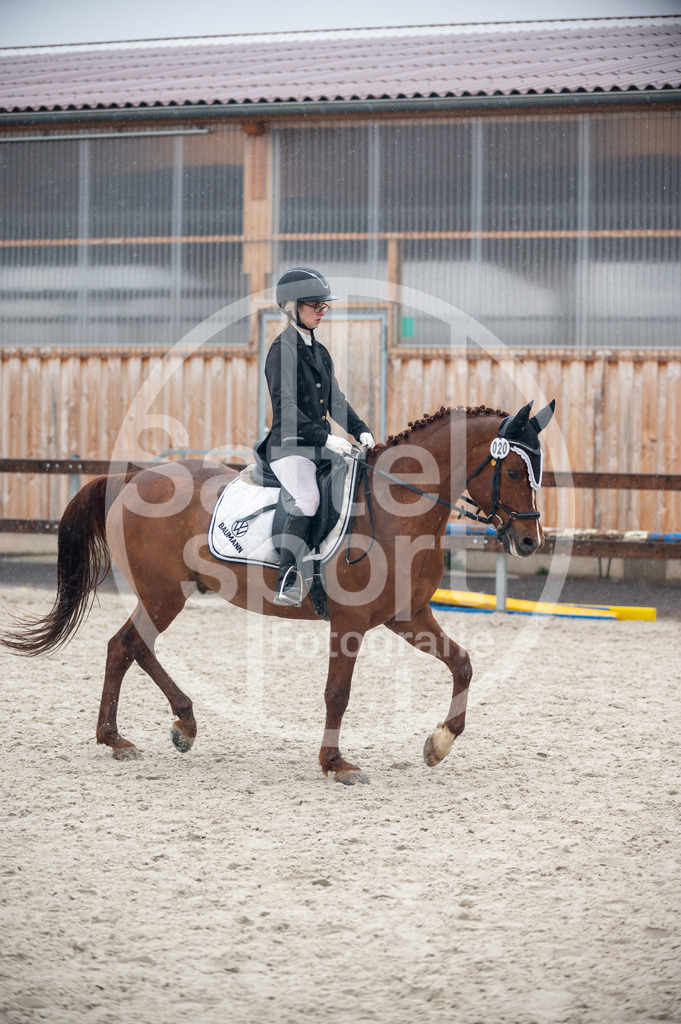 DSC_7132 | sattelsport - Realisiert mit Pictrs.com