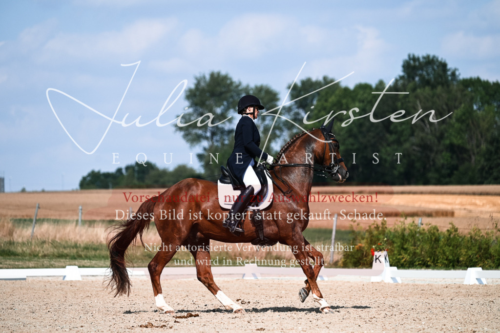 DSC_3214 | Pferde- und Turnierfotografie in Westsachsen. Pferdeportraits, Auftragszeichnungen und intuitive Kunst.