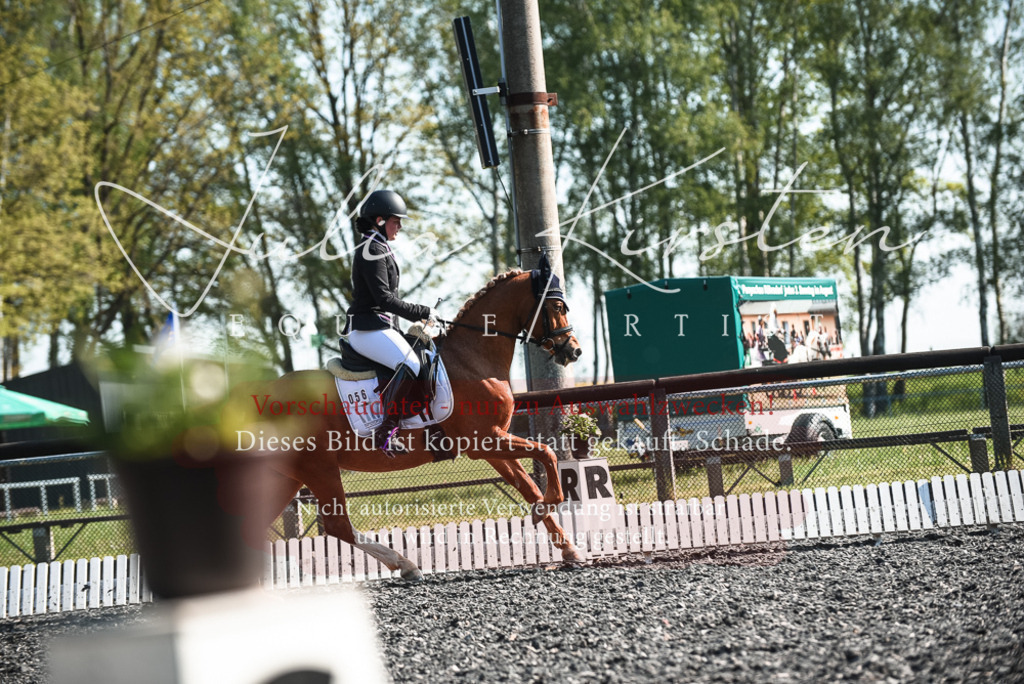 DSC_8440 | Pferde- und Turnierfotografie in Westsachsen. Pferdeportraits, Auftragszeichnungen und intuitive Kunst.