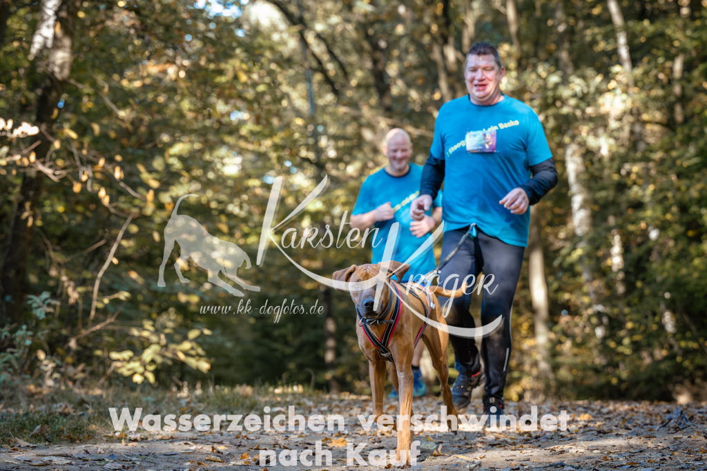 1119_ZZ92001 | kk-dogfotos